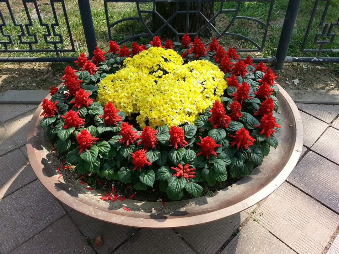 자신을 신뢰하기 시작하자마자 어떻게 살아야 하는지 알게 될 것입니다.