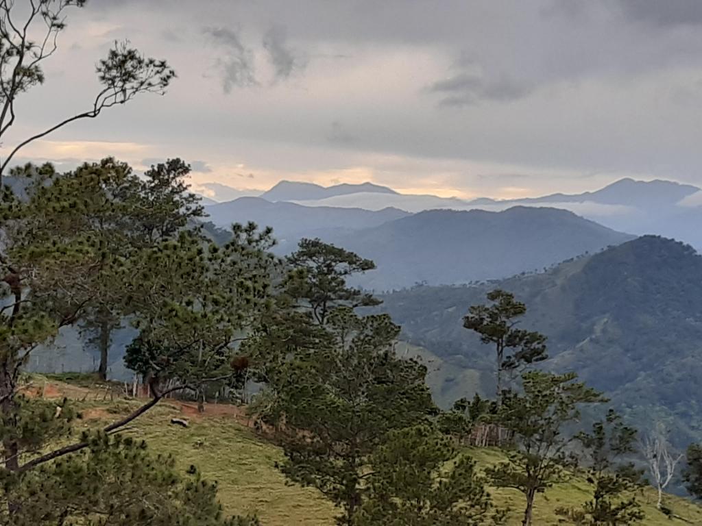 José E. Devárez tweet media