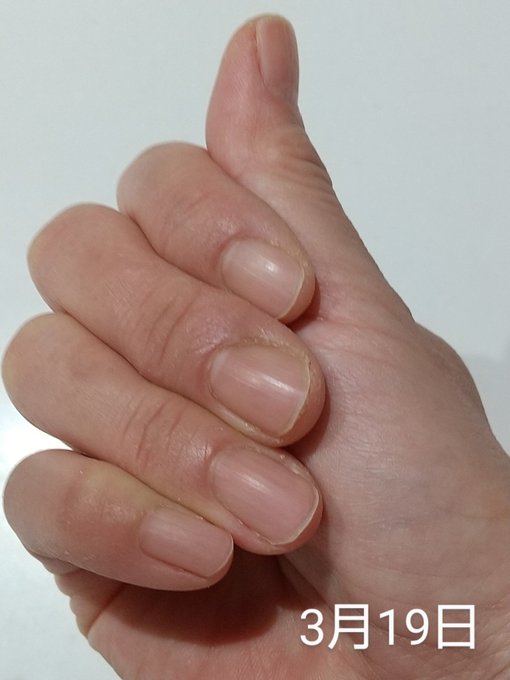 スクエアオフのtwitterイラスト検索結果 スクエアオフのtwitterイラスト検索結果