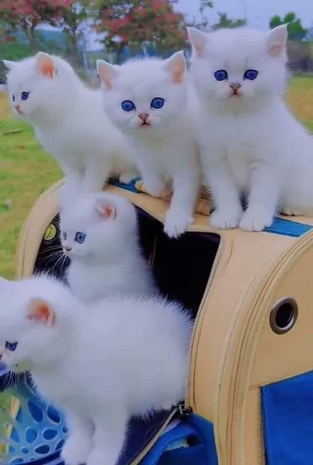 Win_ter_Snow_'s tweet photo. so cute https://t.co/bJ9rf7HAd1