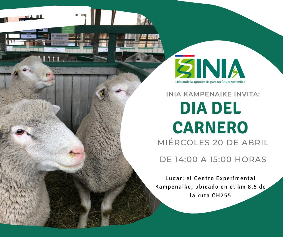 🟢RECUERDEN mañana 20 DE ABRIL desde las 14:00 horas en INIA Kampenaike, ubicado en el kilómetro 8.5 de la ruta CH255 🐏🐏
INSCRIPCIÓN AL CORREO: jacqueline.barria@inia.cl 
Les esperamos!!!