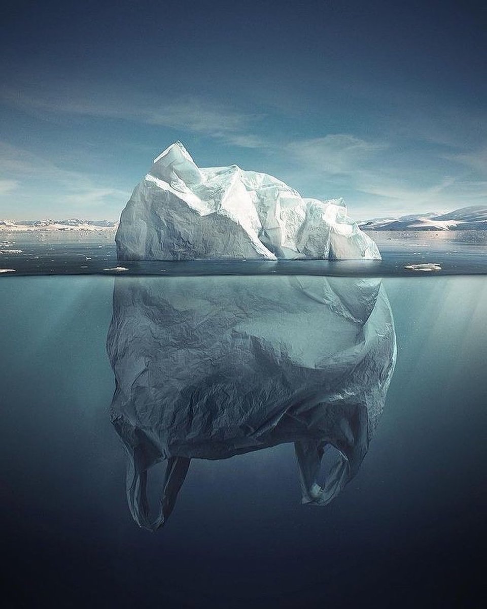 WoodWatch's tweet photo. Small changes have a big impact. ♻️ Together we can make a positive change!⁠ Picture via IG @matusbence https://t.co/8wnFQAJKI1
