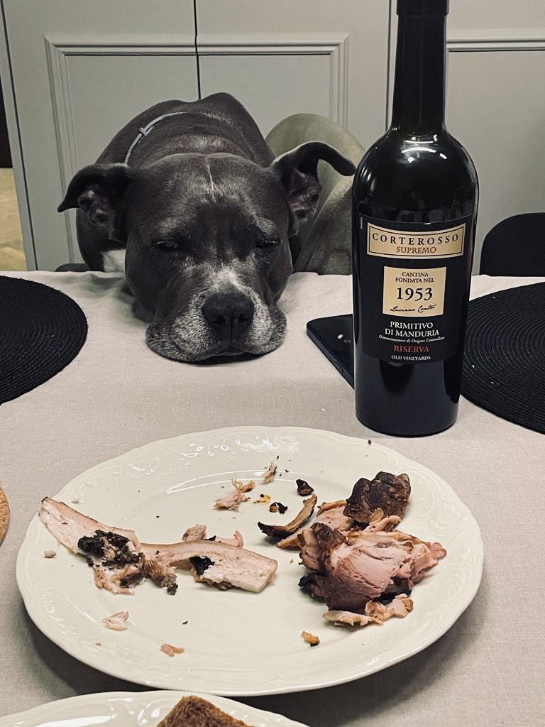 MarcinUngier's tweet photo. Kiedy Swieta wjechaly troche za grubo😍😍😍😂😂😂 https://t.co/bzju2cuXjj