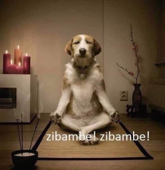 @Afrikanwolf 🤣🤣🤣🤣🤣🤭 https://t.co/6dmHaITANh<a class="tags" target="_blank" title="On Twitter" href="/?out=eyJ0eXAiOiJKV1QiLCJhbGciOiJIUzUxMiJ9.eyJpYXQiOjE3MjUyOTA2MjcsImlzcyI6InR3cG9ybnN0YXJzLmNvbSIsIm5iZiI6MTcyNTI5MDYyNywiZXhwIjoxNzU2ODI2NjI3LCJyZWRpcmVjdF91cmwiOiJodHRwczovL3R3aXR0ZXIuY29tL0FmcmlrYW53b2xmIn0.Z6yNJ82R5zfJo-0EXC32k-u11wQ8Tr94y011czr2MkDXomAAHui3NWf3Iy5JH_rfS2h4nuDfvMnGLSlruy9RSg">@Afrikanwolf</a><a href="/tag/mytwitteranniversary"class="tags"><span>#mytwitteranniversary</span></a>