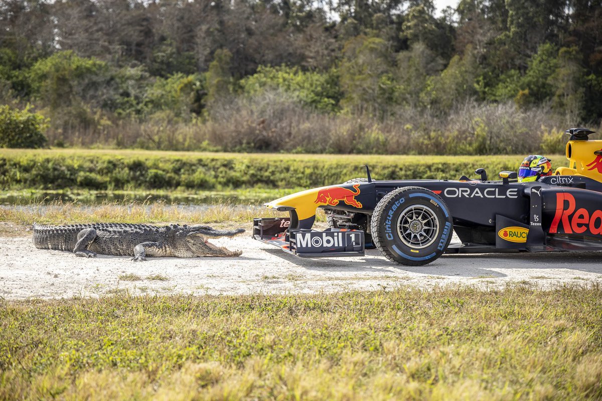 SChecoPerez's tweet photo. The fastest way to Miami! 

@redbullracing 

#RaceToMiami #MiamiGP

https://t.co/X88NHYC9yu https://t.co/QXwZX3vMzC