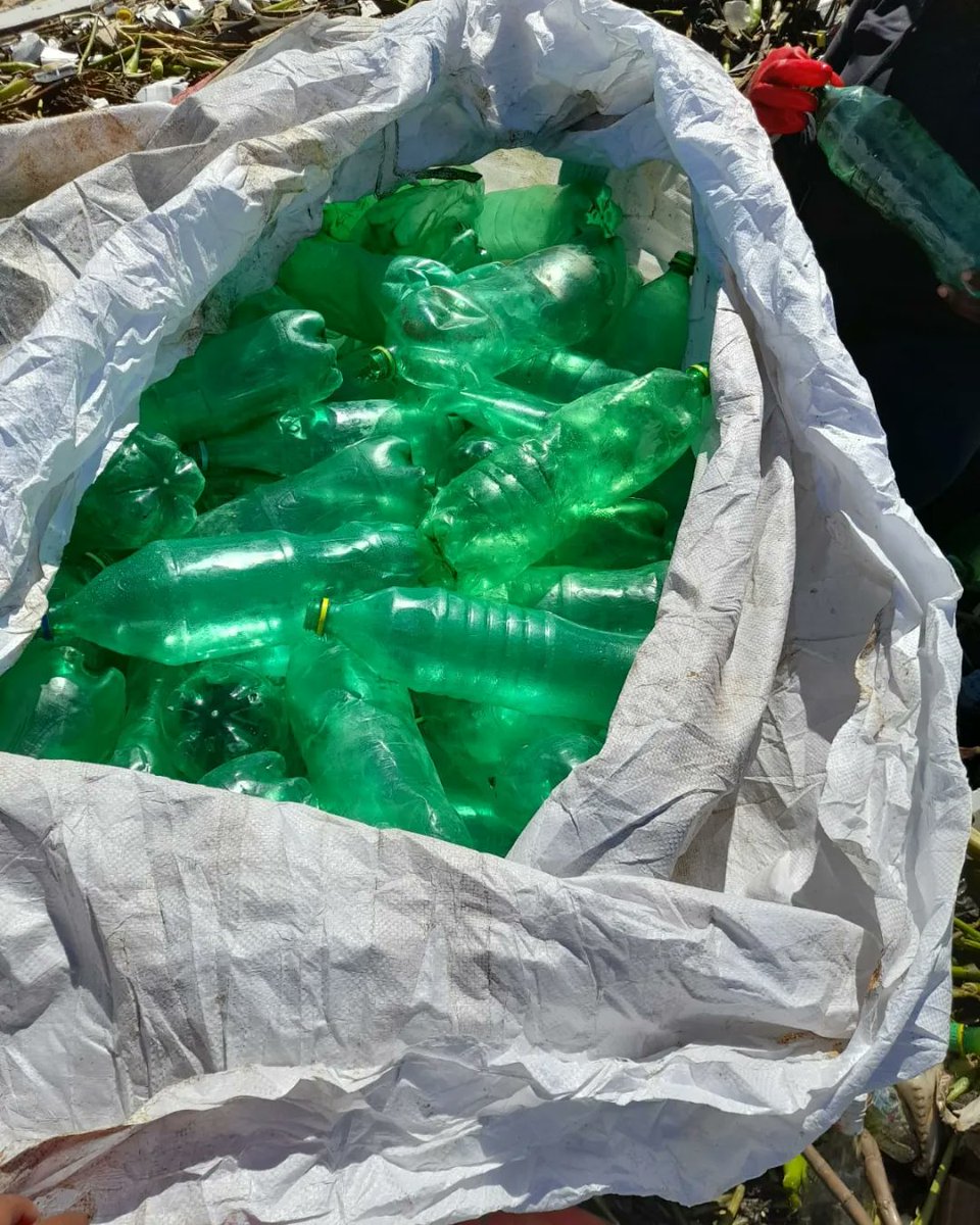 WildoceansSA tweet media