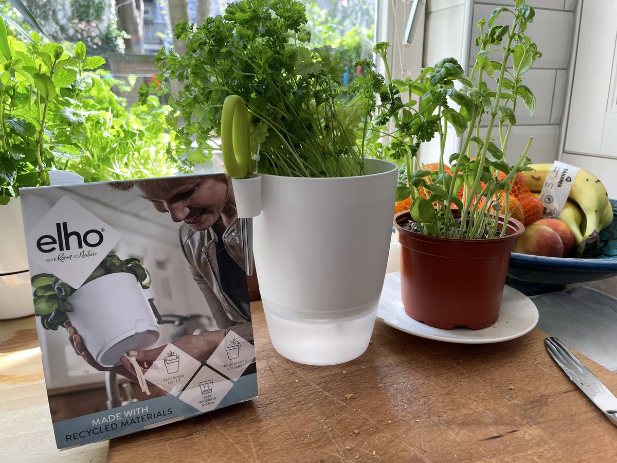 gregoryshapiro's tweet photo. Me at #Dutch garden center: “Do you have those self-watering pots for kitchen herb plants?” 
She: “No. We never have anything like that. No one ever asks for it. (&amp; You’re crazy.)”
This week @albertheijn: #ehlo self-watering plant pot €5.20. It sure beats ‘pot on a plate.’ https://t.co/9dMSbC6kzF