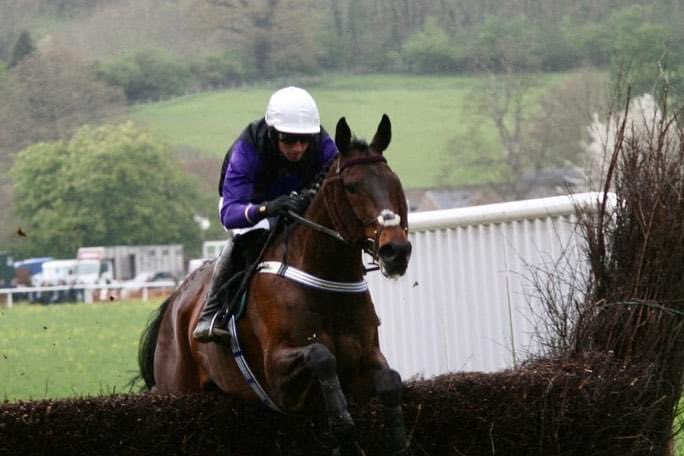 harryp93's tweet photo. Fantastic run from Eric yesterday, the brides maid again coming second but on ground that really didn’t suit him #pleased https://t.co/DCisscAvq3