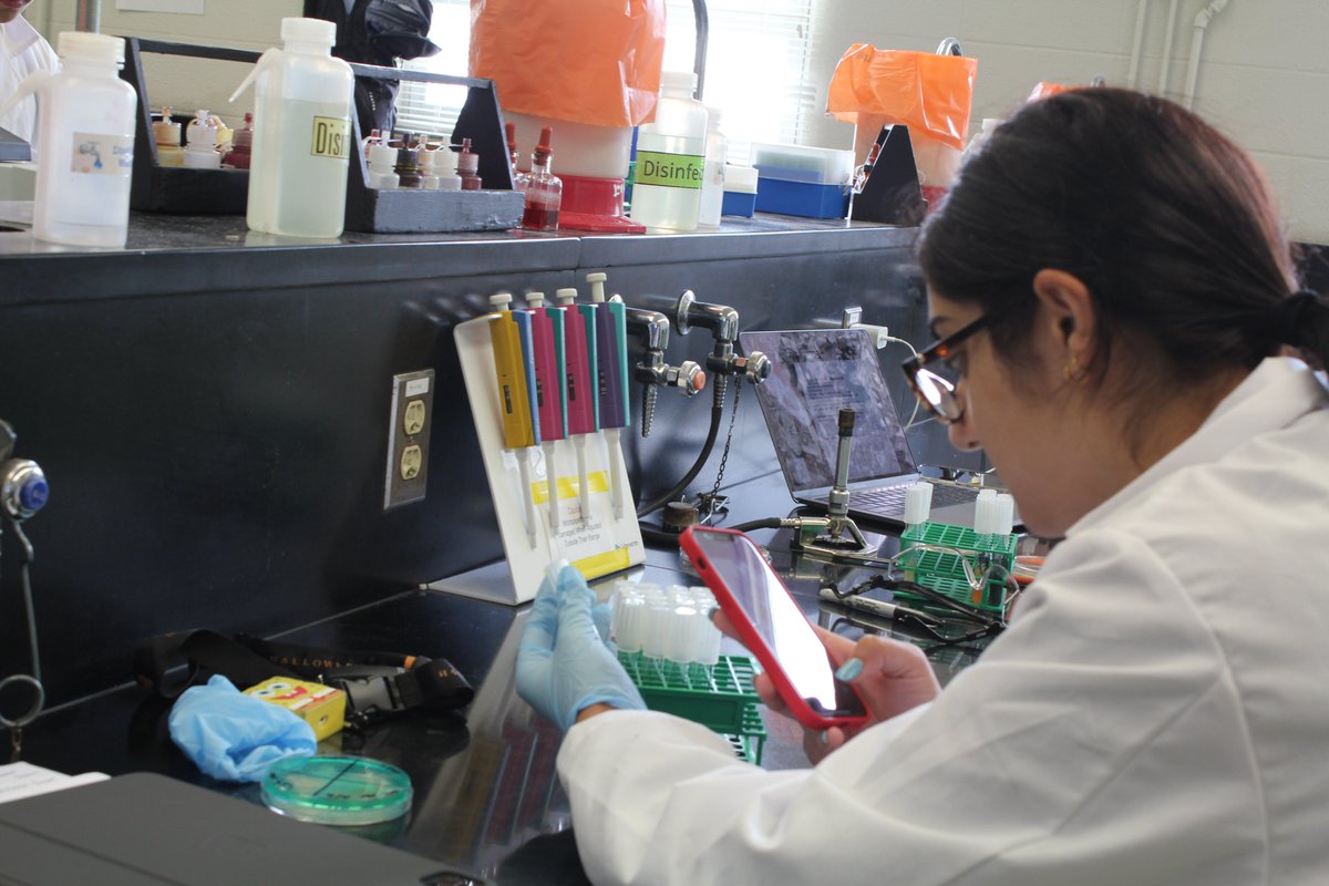 KUbiology's tweet photo. In this shared lab Biology 203 Intro to Microbiology & 402 Fundamentals of Microbiology students were undertaking the Mixed Double Unknown project, where they had to identify two different bacteria's from selection of unknown samples.
#scientistsintraining #mircobiology #LabsatKU https://t.co/vH7doKPmpS
