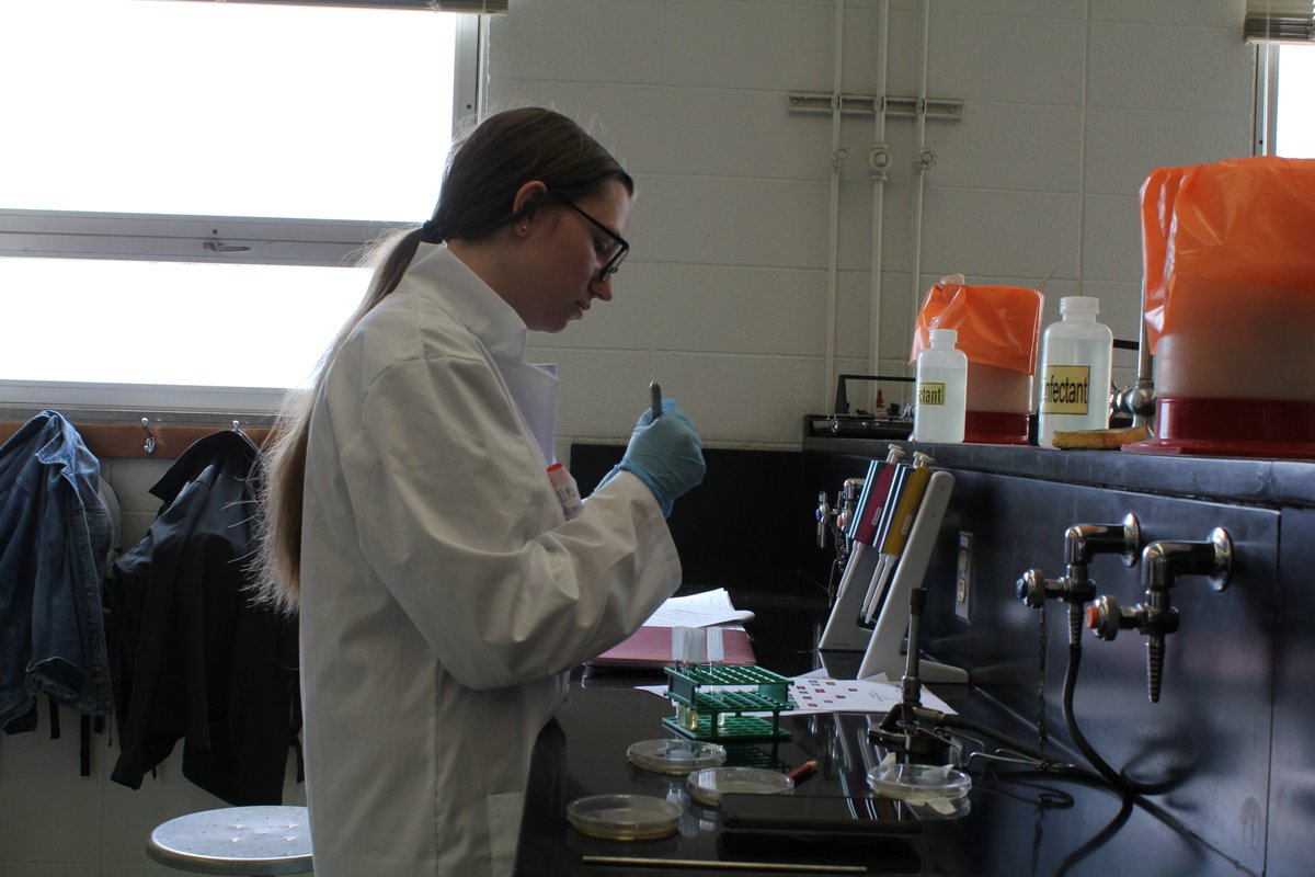 KUbiology's tweet photo. In this shared lab Biology 203 Intro to Microbiology & 402 Fundamentals of Microbiology students were undertaking the Mixed Double Unknown project, where they had to identify two different bacteria's from selection of unknown samples.
#scientistsintraining #mircobiology #LabsatKU https://t.co/vH7doKPmpS