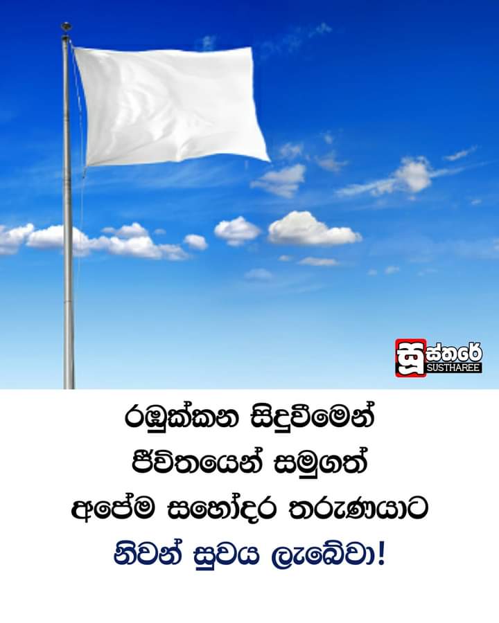 තනිකඩ රෝමියෝ | 🇱🇰 🌿 👣 tweet media