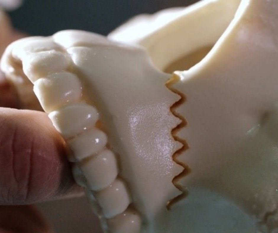 CHU Amiens-Picardie tweet media