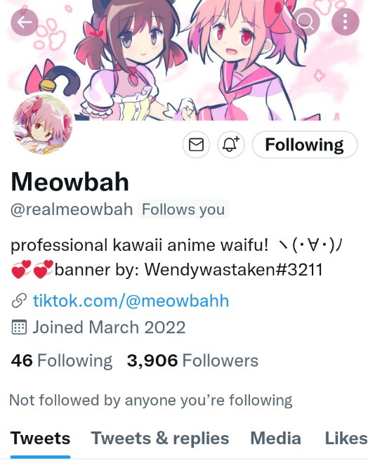 Meowbahhs Twitter