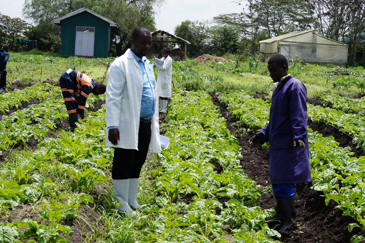 A journey of a thousand miles begins with a single step. Let us help you start your #Agripreneurship Journey today! We offer short-course training on #CropProtection, #CropNutrition, Labour Management and even offer Marketing Linkages for your produce. Call us on 0716431054