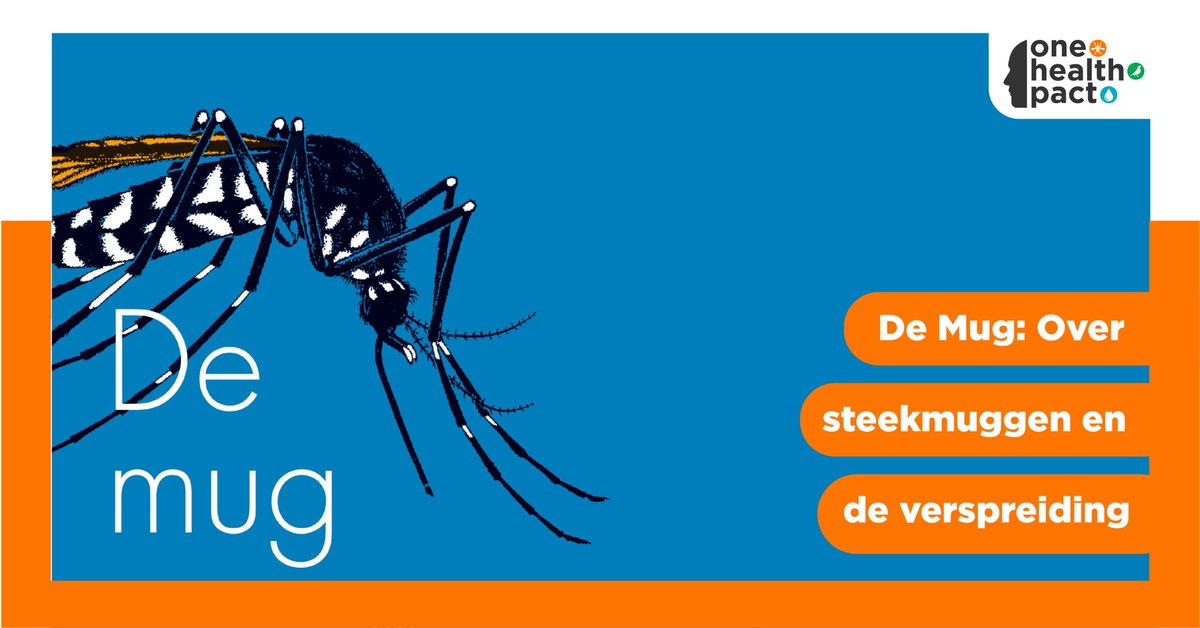 OneHealthPact's tweet photo. Leuk een nieuw boekje over muggen! Het boek werd samengesteld door dr. ir. Chantal Reusken en dr. Marieta Braks, @RIVM, in samenwerking met Stichting Biowetenschappen en Maatschappij. Lees hier meer: https://t.co/6gPn2vIGdU https://t.co/t15o19sGiV