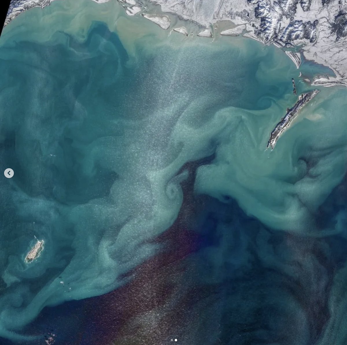 Clara Dealberto tweet media