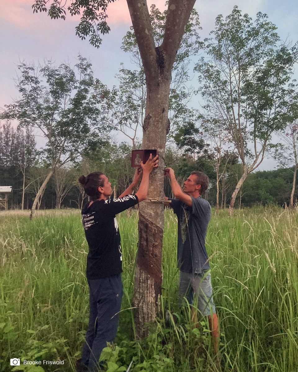PhD student Brooke Friswold is working with us and <a href="/_BTEH/">bringtheelephanthome</a> to study how elephants behave around alternative crops! Lesson 1: Always turn on your camera traps. ALWAYS. Read her blog at: bit.ly/3rvwDJB #fieldworkfail #phdlife
