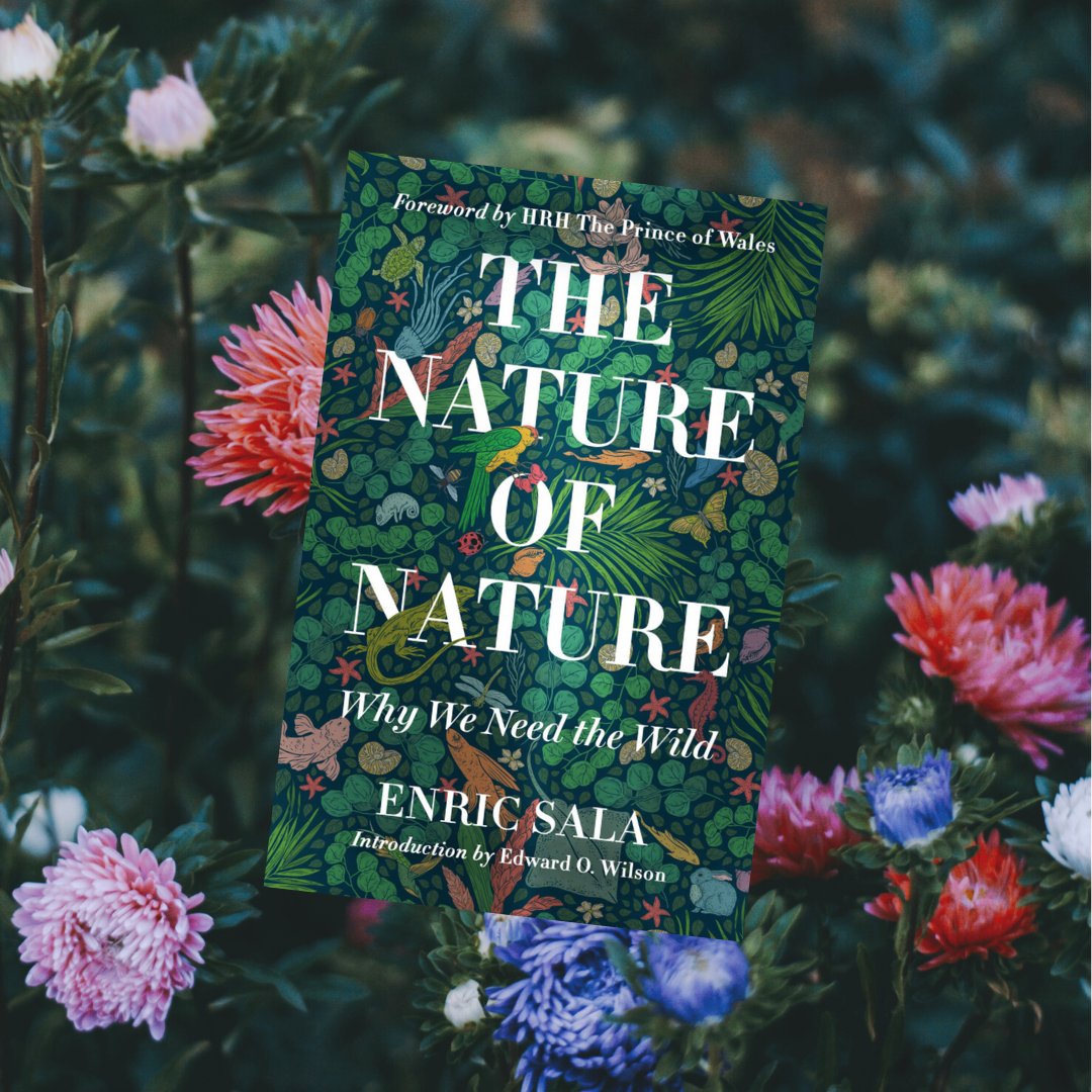scennetwork1's tweet photo. “The Nature of Nature'' was written by Enric Sala, a conservationist and Nat Geo Explorer who has helped create 22 of the world's largest marine reserves. Enric states that once we appreciate how nature works, we will understand why conservation is essential. #BookwormTuesday https://t.co/N5hPeORjHj