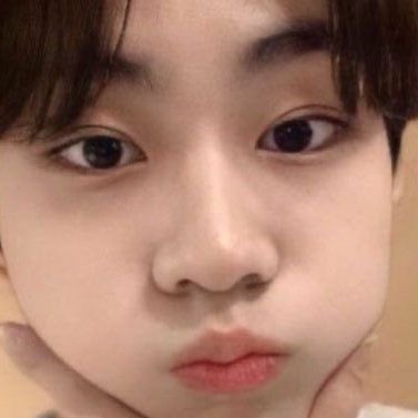 yjwprnts's tweet photo. jungwon cheeks 🍞 https://t.co/pLMSQRp00y