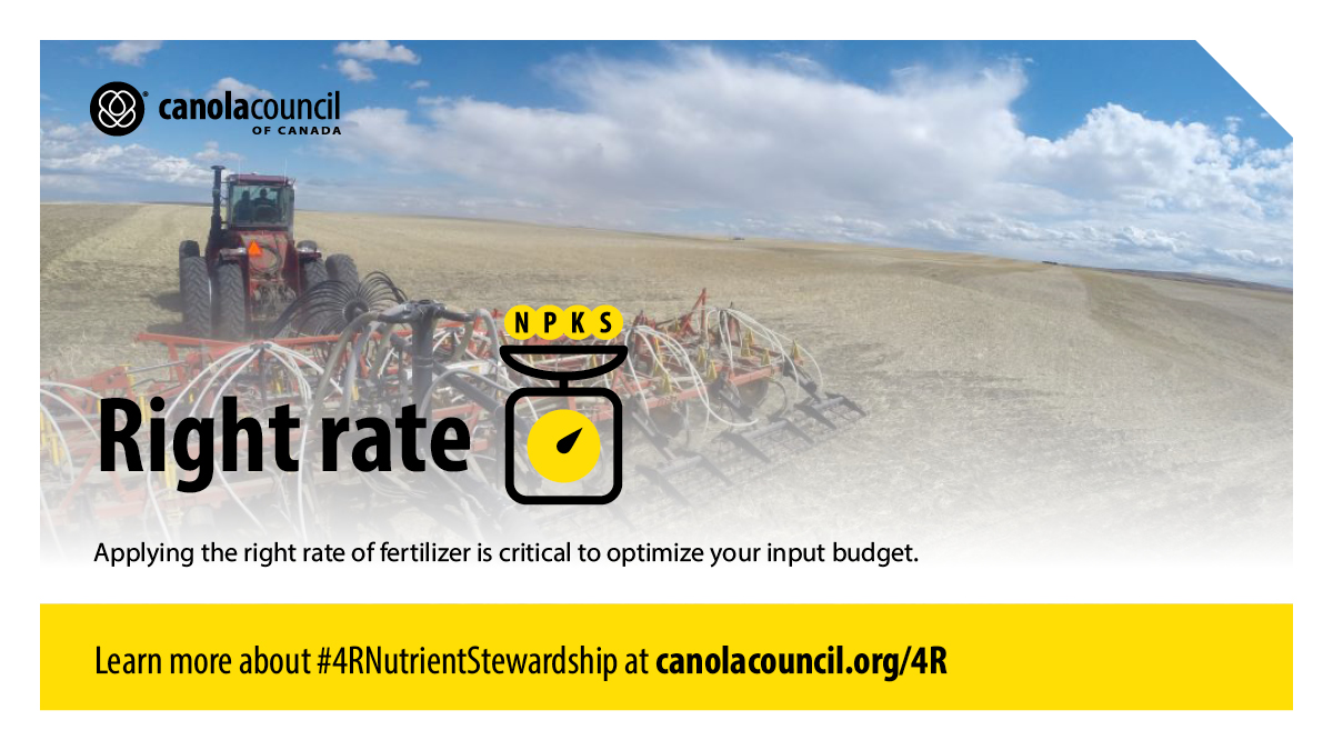 Canola Council of Canada tweet media