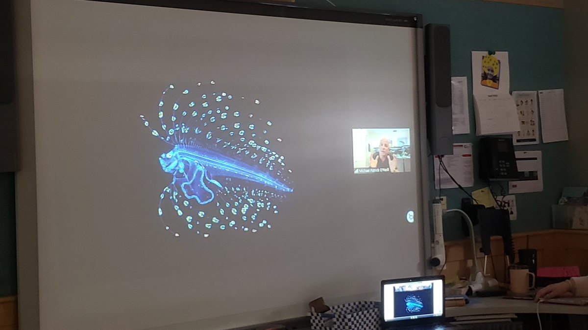 CaedmonFourth's tweet photo. Thank you author and photographer Michael Patrick O'Neill for sharing your work with our young writers! #TheCaedmonStory #CaedmonGrade4 #CaedmonWriting https://t.co/05eXN9xg04