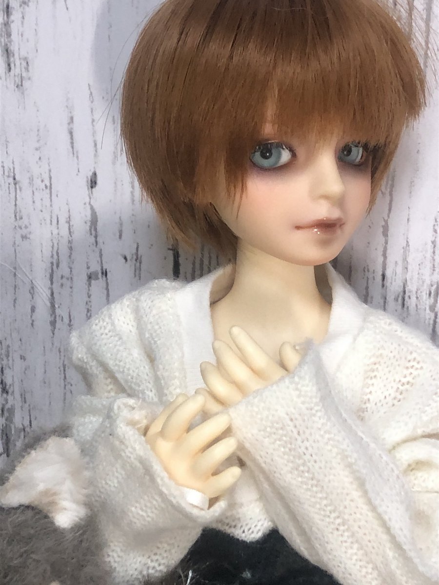 wolf8singe's tweet photo. マクシミリアンさんが気になりすぎて禿げそうでも、らうちの男子を愛でることに集中する😊
#DWC4 #Waseo #シュルツ
#うちのこかわいい https://t.co/ylhXLz2c8R