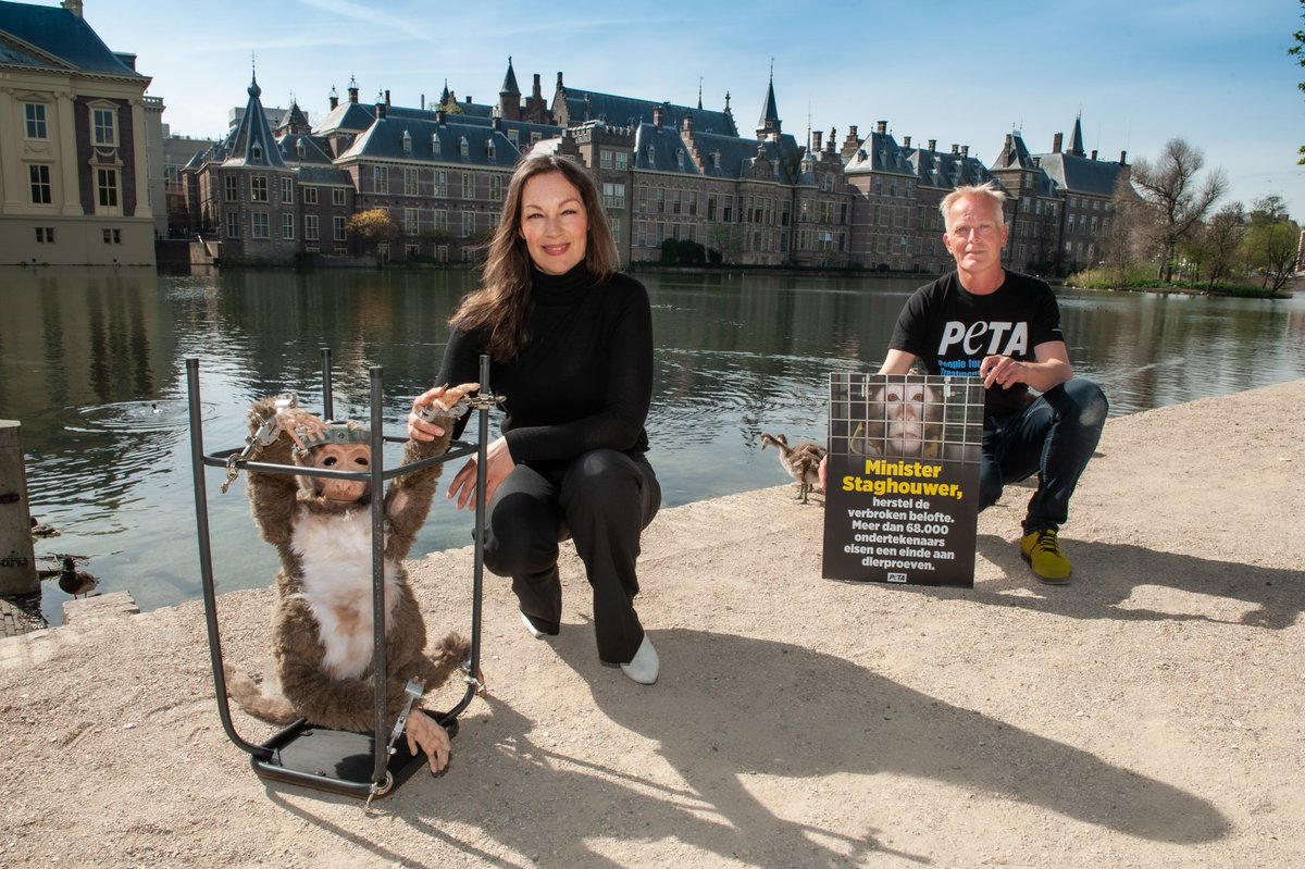 Thank you 🙌
To the 68,000 supporters of PETA and our international entities for signing the petition against testing on animals in the Netherlands.
The petition has now been submitted, and the Dutch parliament is debating the issue this week.
#EndAnimalTesting