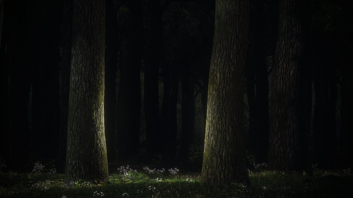 artenft_'s tweet photo. The mystical forest awaits. 

#artemeta #nft #nftart #collaboration #comingsoon #nftartist #dstrict #immersiveart #artemuseum https://t.co/Zo0Pw03PCW