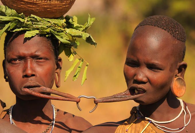 Amasaman Enzo Chelseafc. tweet media