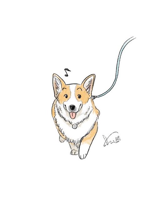 「黒目 柴犬」のTwitter画像/イラスト(新着)｜5ページ目