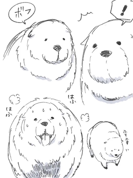 ボンドの研究✍︎(^ω^)🐶 