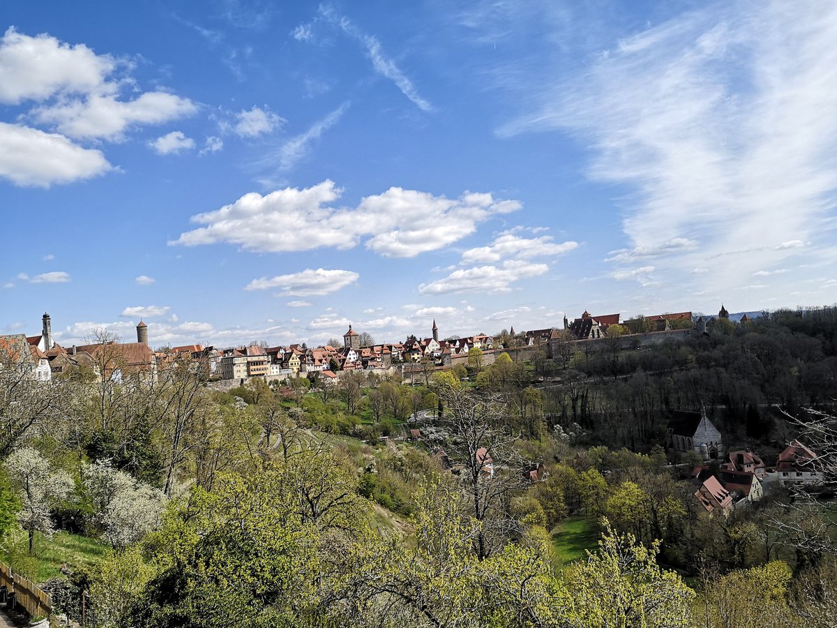 WiegeringLab tweet media