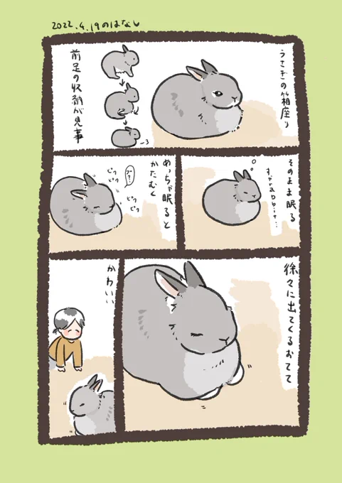 今日のrabbit…
#うさぎのいる生活 