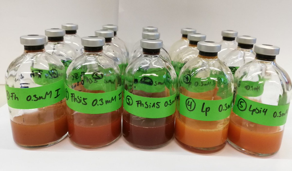 KSchulzSoil's tweet image. Fresh iron news!! My first PhD paper is out! 🎉🚀 
Read on how iron oxyhydroxide transformations and mineral morphology can be affected by silicate!

bit.ly/3JVpDvX

@EthSoil
#iron #silicate #mineral #ferrihydrite #lepidocrocite #electronmicroscopy