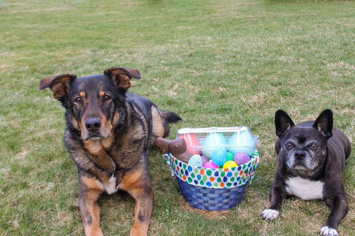 roamwiththem tweet media