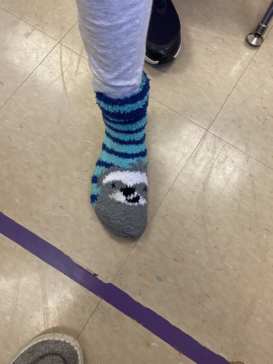 MrsKirkhoff4SME's tweet photo. We are WILD about saving the earth!  
One of my students wore with socks today! 

🌎💚🦥

#saveourplanet #wildabouttheearth #sloths https://t.co/7PwSEQdUY7