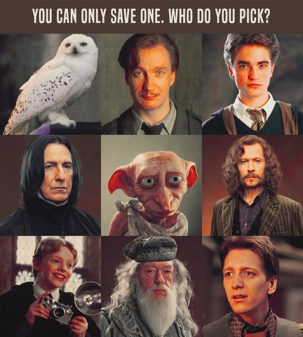 Harry Potter™▕⃝⃤ ⚯ ͛ tweet media