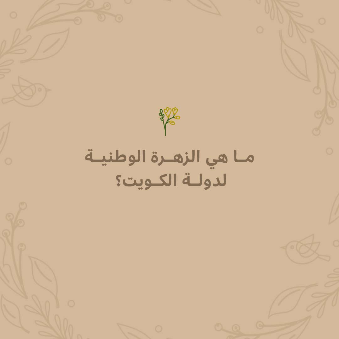 وسؤال اليوم يقول 👆🏻

شروط المسابقة ✨: 
- الاجابة الصحيحة 
- متابعة الحساب
- رتويت 

سيتم السحب على الفائز بالمسابقة غدا ، فالكم الفوز 💐
حزر فزر مع #فلاورد