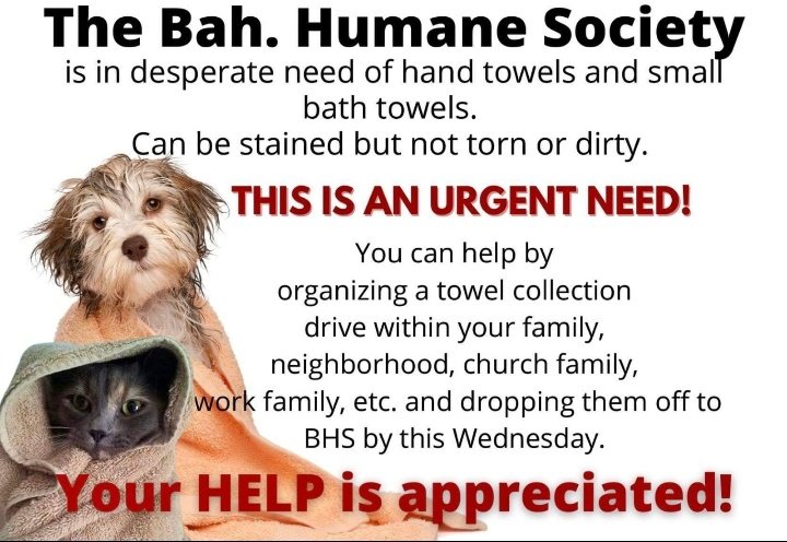 whatistybdoing's tweet photo. URGENT.
Let's do our part. https://t.co/1wHcc3RvOp
