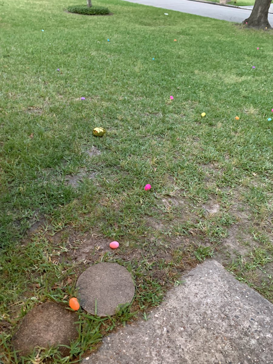 larrys_class's tweet photo. @MrsMackeysArt @KleinISD @FoxKISD @IDODI This was amazing. My children were so EGGcited to run outside for the egg hunt. https://t.co/0ZgITzO6tx