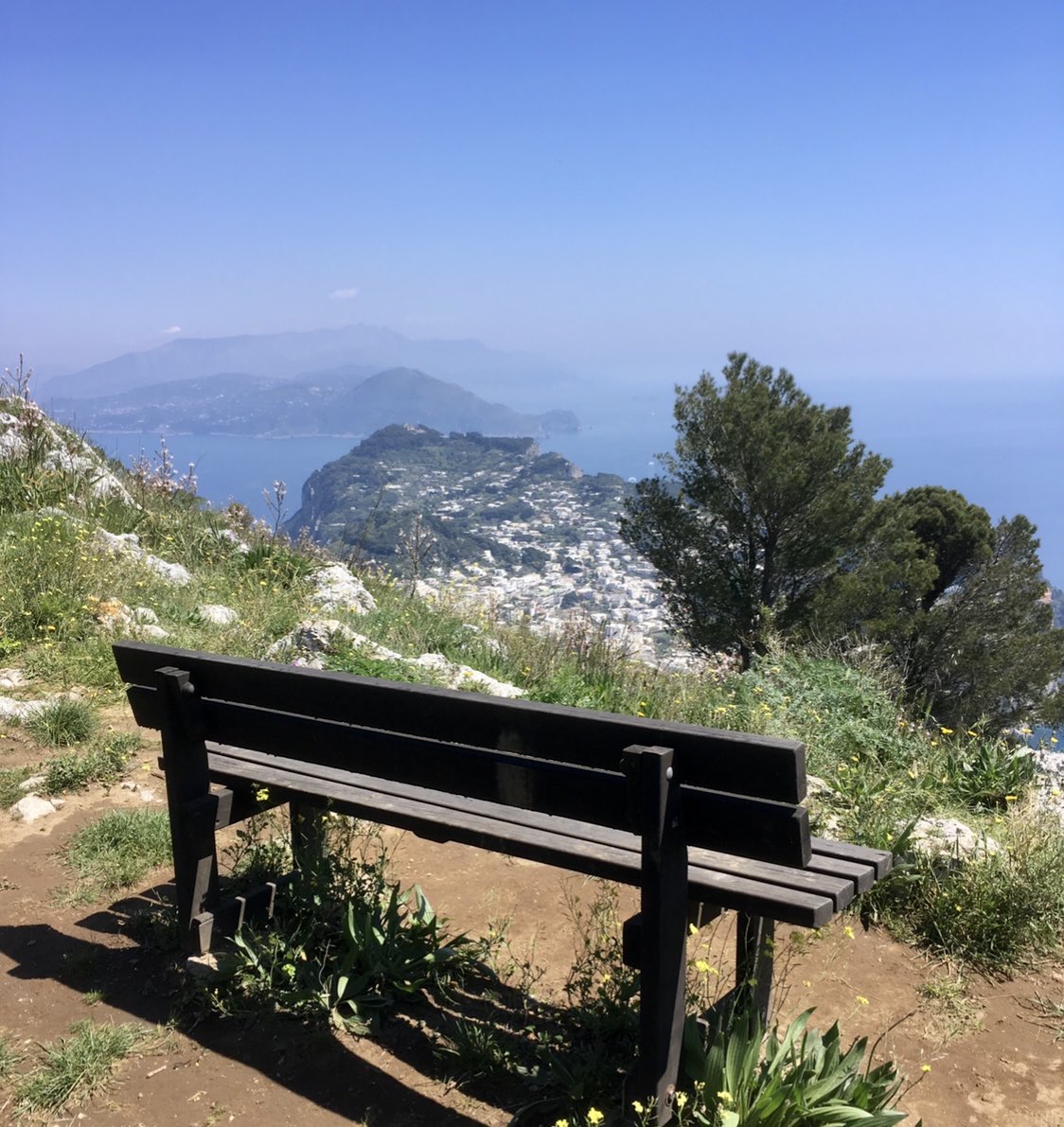 FrauMeyer1's tweet photo. Da sitze ich wieder auf meiner Bank und genieße den Tag, den Duft und diese Aussicht. #capri #montesolaro https://t.co/XT4DgiCwMD