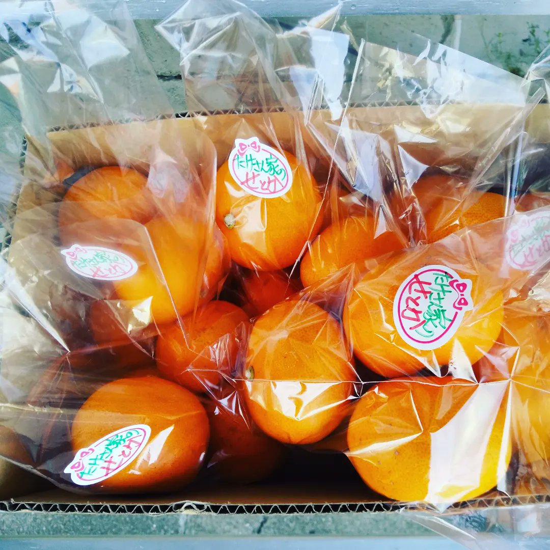 sirari3's tweet photo. こんにちは皆様☺️
今年最後のせとかになります🍊残り30袋となりました。大小異なりますが一袋300円で販売しております〜🌷宜しければお立ち寄り下さいませ🌼 https://t.co/aEbPS3MFe0