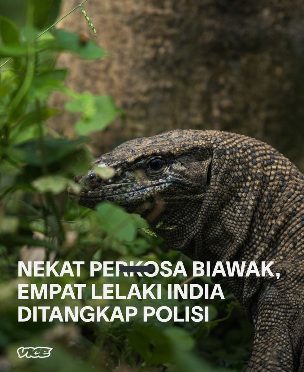 AREAJULID's tweet photo. Dis! Ga abis pikir sama human zaman sekarang 😭 https://t.co/40IOKuvpvU