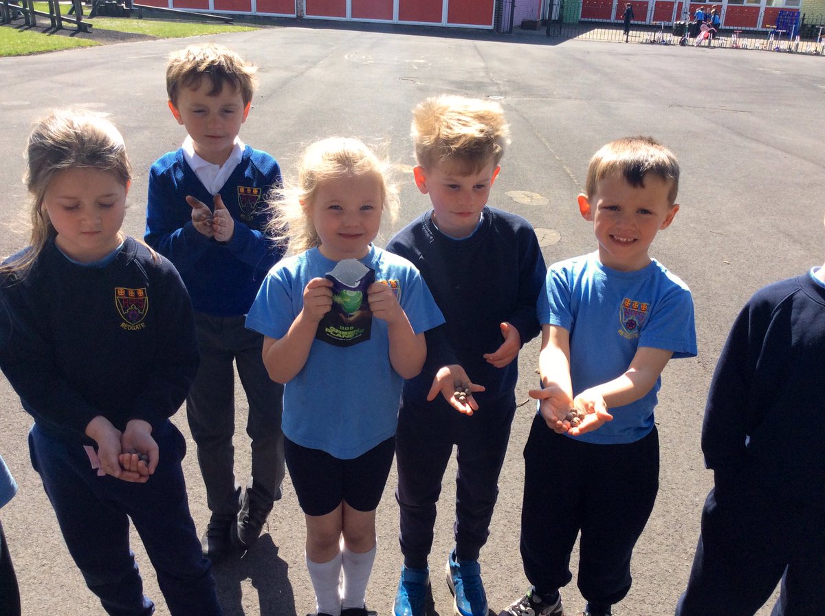 RedgateGardens1's tweet photo. 🌸🌼Thank you much @bbcbitesize and #TheRegenerators our amazing @redgateyear1 pupils were thrilled to plant our #GreenPlanets seed balls 🌍💚We can’t wait to see them flourishing around our fabulous @Redgate_Primary @BBC #TheGreenPlanet #wildflower #school #gardening https://t.co/OMnDxuzocl