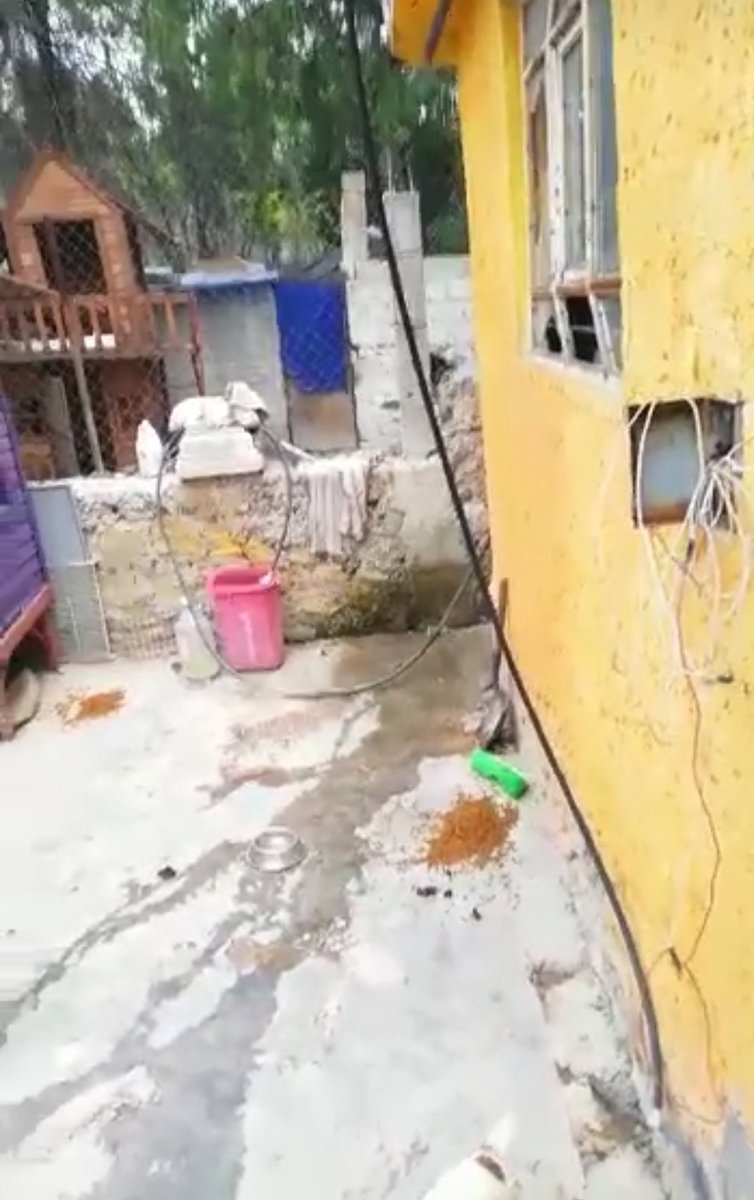 Caruza5's tweet photo. Perro en transportadora en el MATADERO  de mundo lacritas
Los vecinos comentan que el perro  quedó días abandonado 
Noten la suciedad, cómida en el piso solo limpian para las fotos "Mundo patitas" y sus estafas @rbksokol @PAOTmx @propaem_sma @LetyVarela @AgatanCdmx @LicAnimalista https://t.co/OTDjhLaeM4