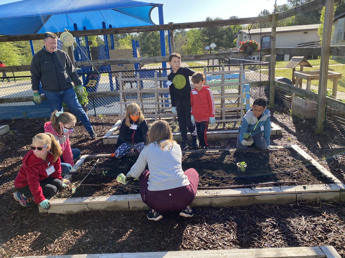 LPESGardenClub's tweet photo. Lots of good things growing in the garden this morning! Cantaloupe, tomatoes, corn and cucumbers going in today. Thank you to all the wonderful garden helpers. 🌱 #gardenclub #GardeningTwitter #wcpssgardens https://t.co/7BwlZ4Yf14