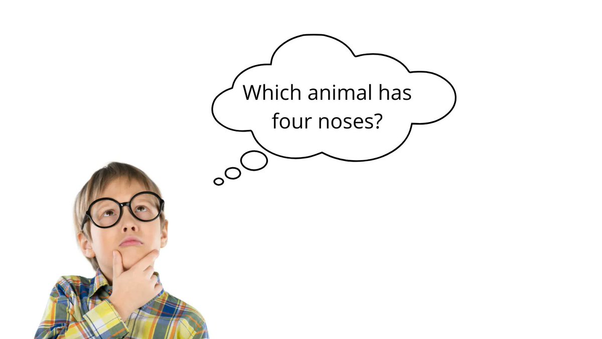 Which animal has four noses?

#animal #noses #animalnoses #fournoses #doyouknow #answer #question #quiz