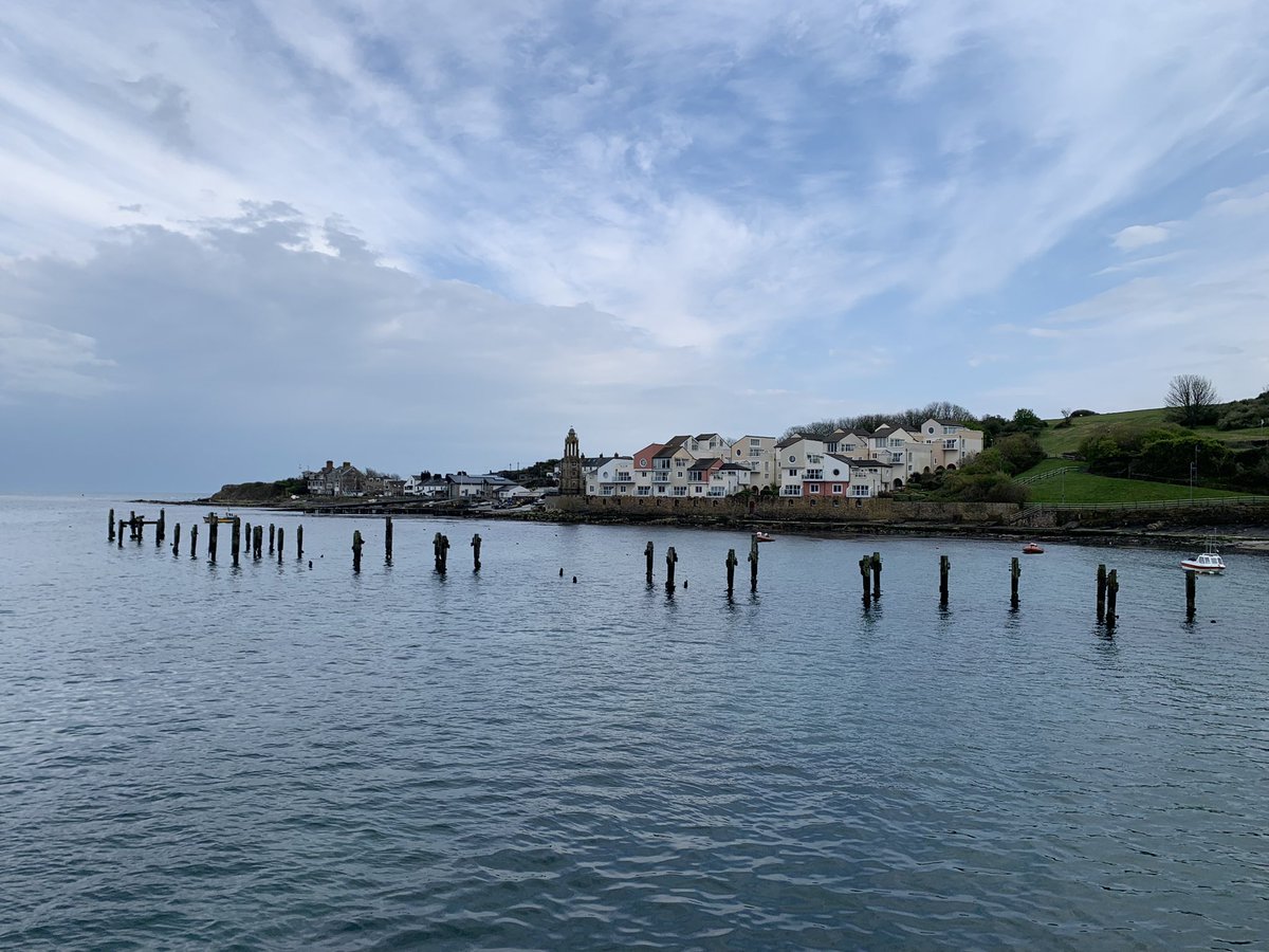 Denise Freeman 🌎🙋🏻‍♀️ tweet media