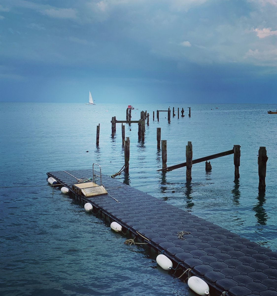 Denise Freeman 🌎🙋🏻‍♀️ tweet media