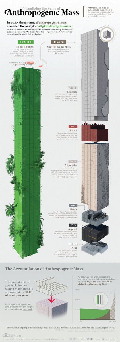 En 2020, el peso estimado de todas las cosas creadas por los seres humanos superó al de la biomasa terrestre. 🤯 Vía <a href="/markabelan/">mark belan | science illustrator + info designer</a>